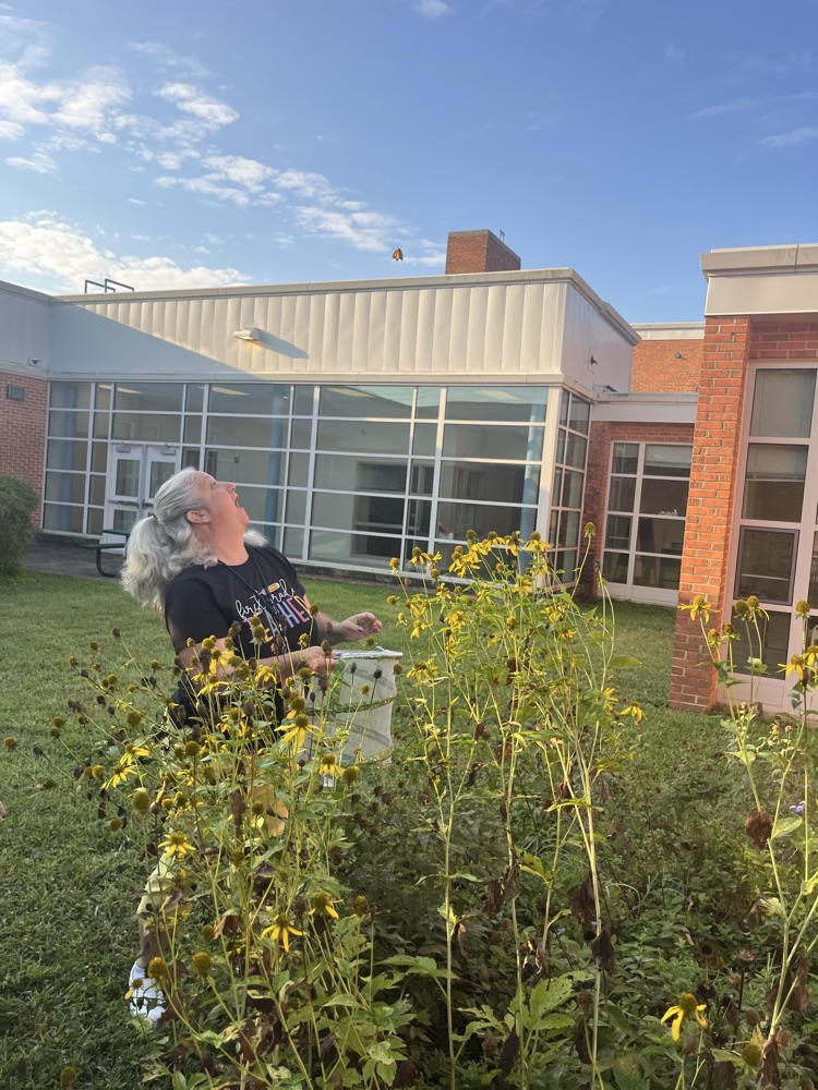 butterfly release 