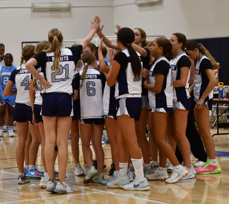Go Ospreys