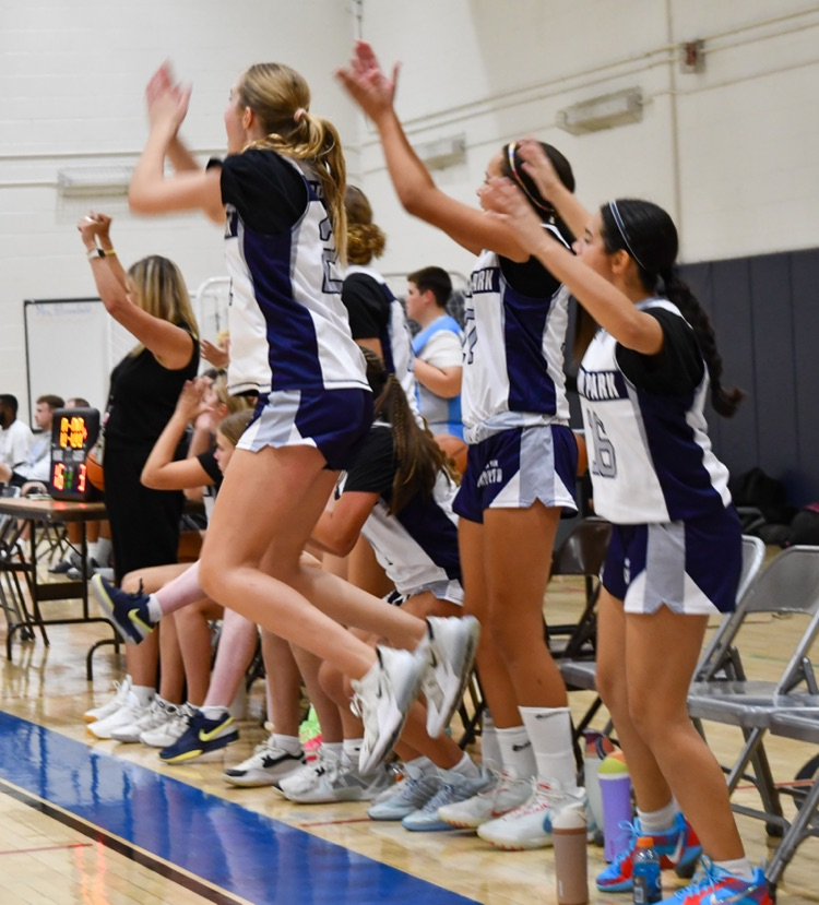 Go Ospreys