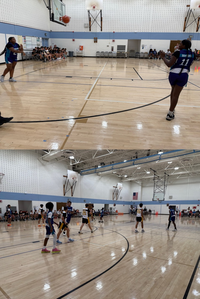 ams bball