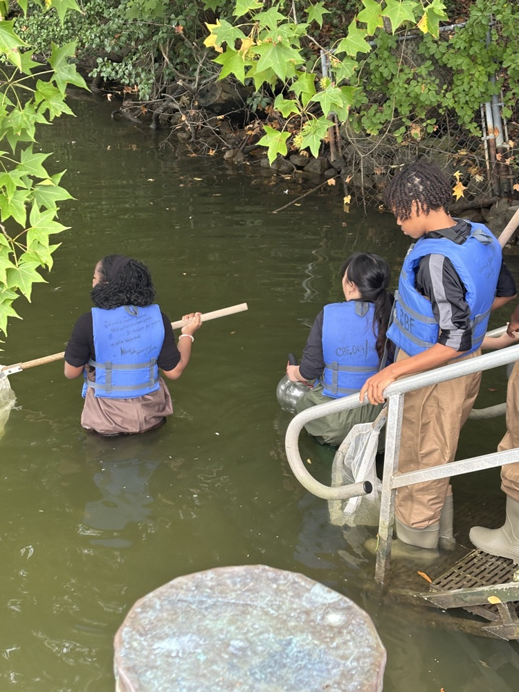 students in water 
