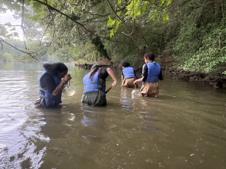 students in water 