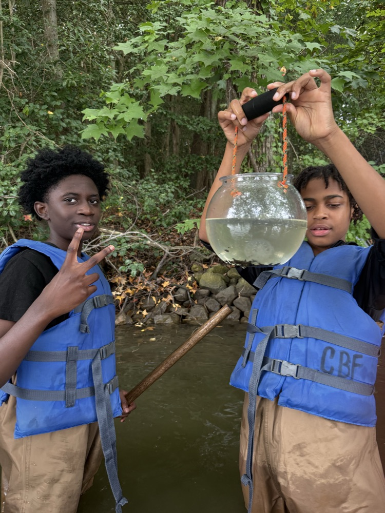 students holding organisms in a bowl of water 