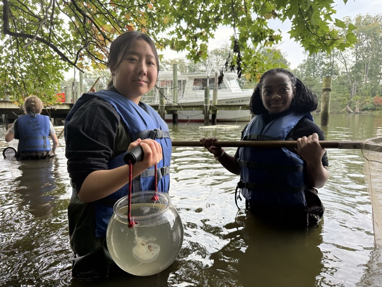 students holding organisms in a bowl of water