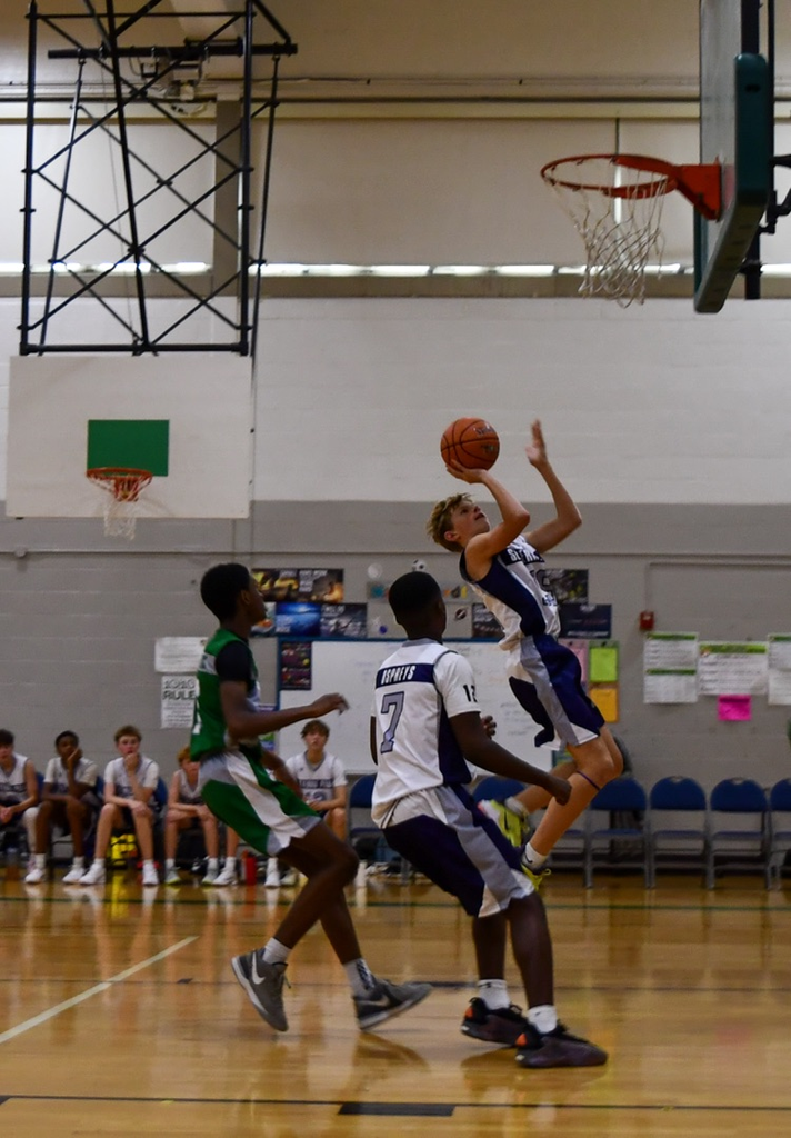 Go Ospreys!