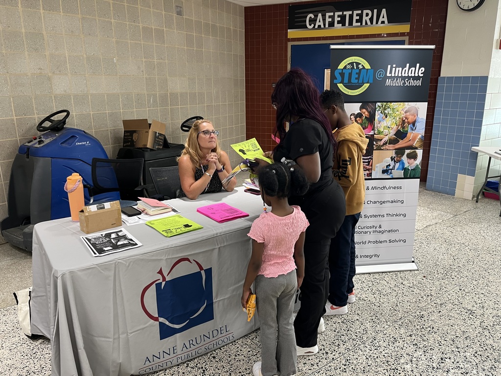 Stem magnet representation 