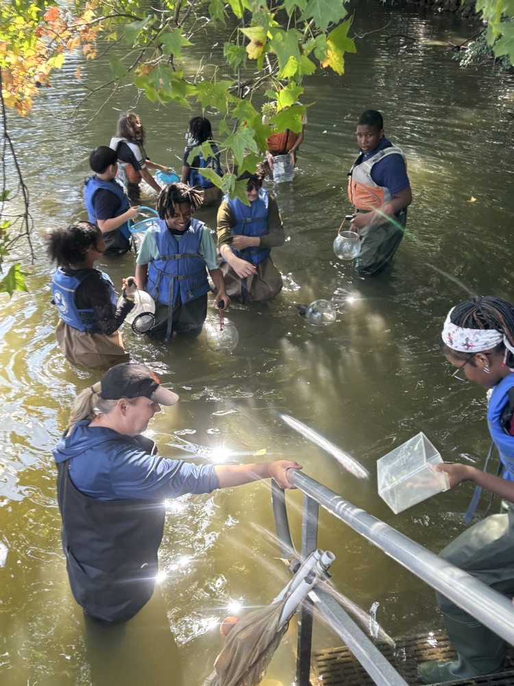 students in the water 