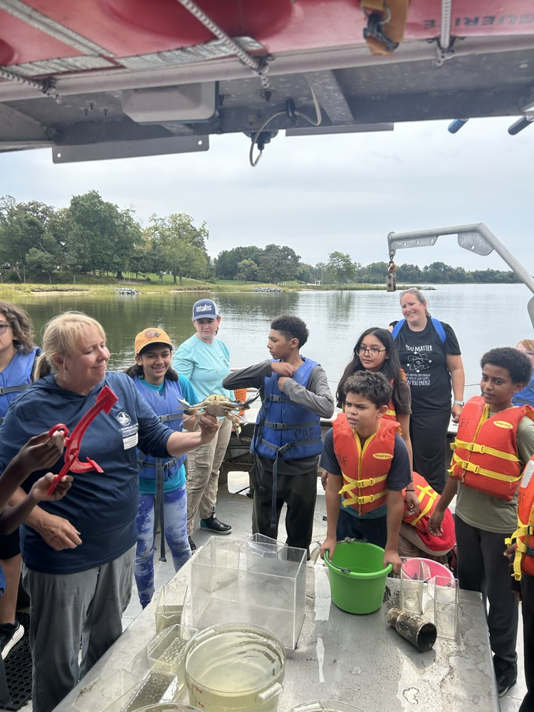 crab with students looking. 