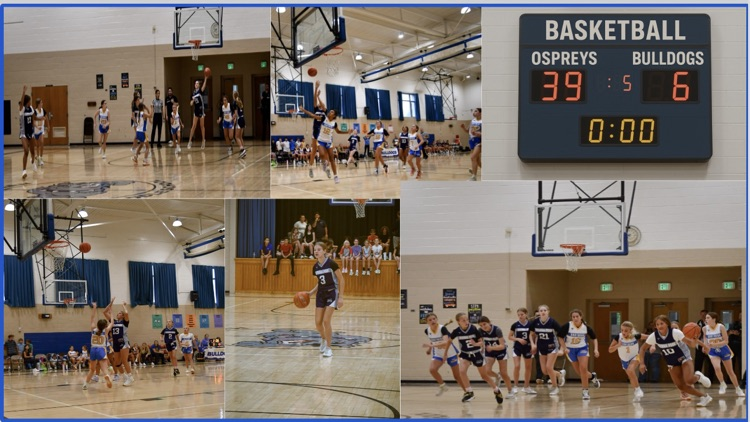 Go Ospreys!