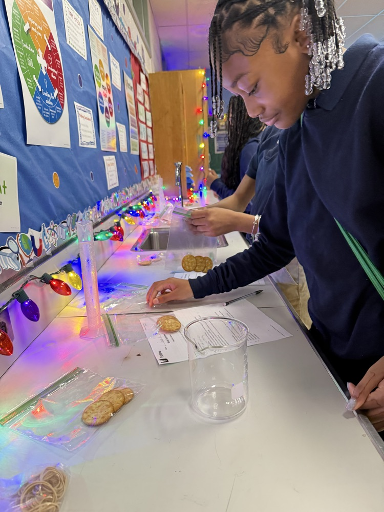 students doing lab