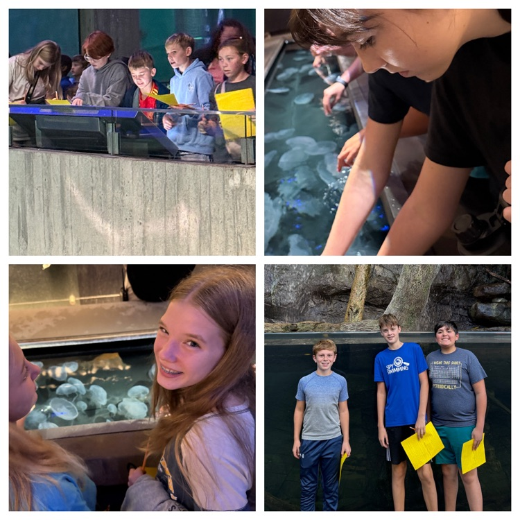 Aquarium