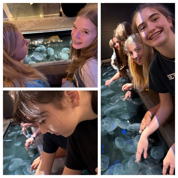 Aquarium