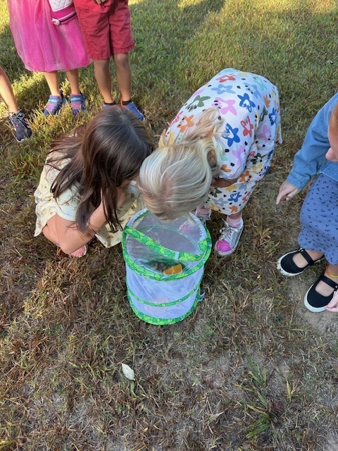 A blonde student and brunette student bending over looking butterflies in a cage.