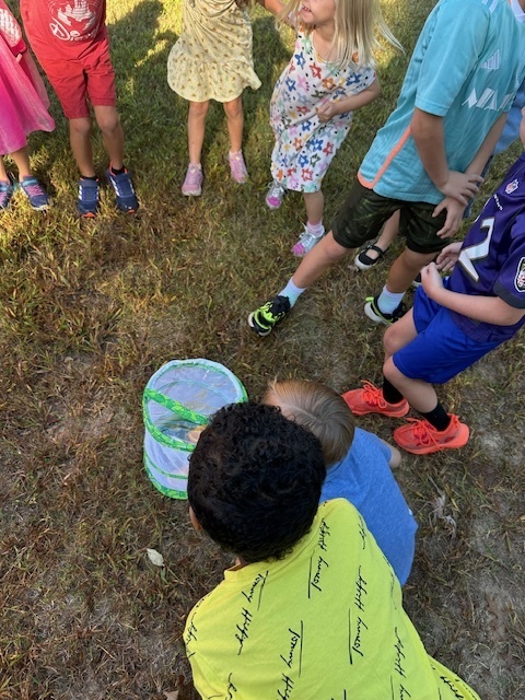 Students kneeling around butterflies in a cage.