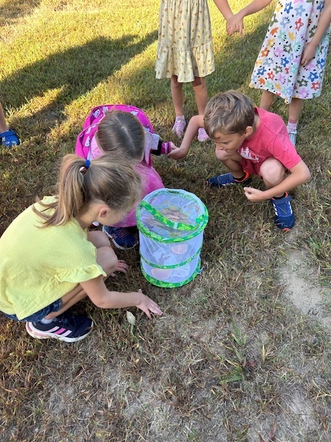 Three students kneeling and looking into a cage with butterflies.