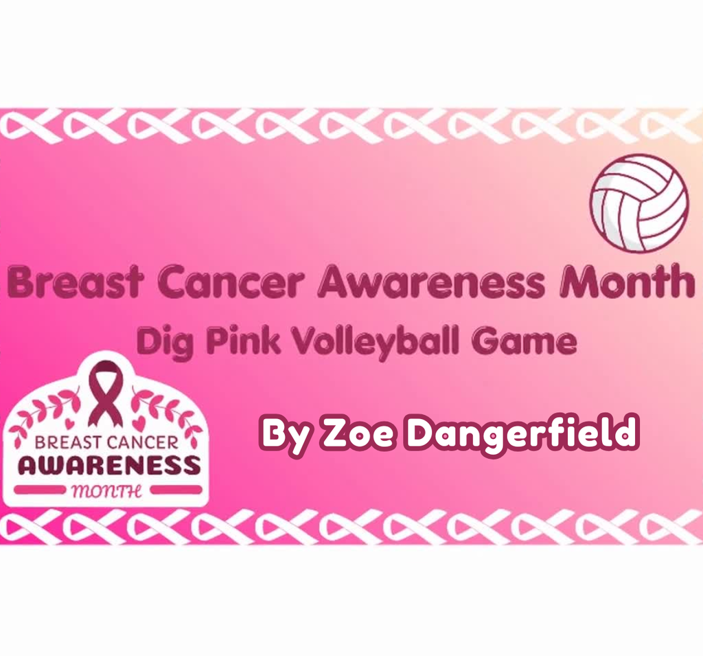 Dig Pink  Game AHS by Zoe