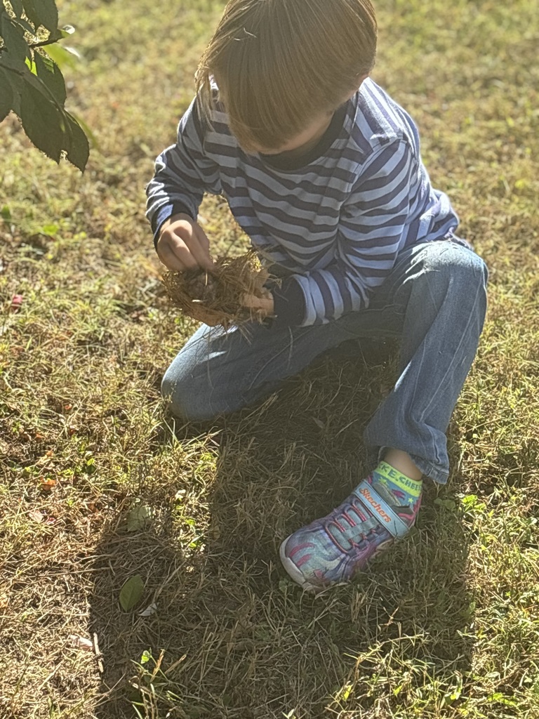 Student sitting on the ground holding leaves in their hands.