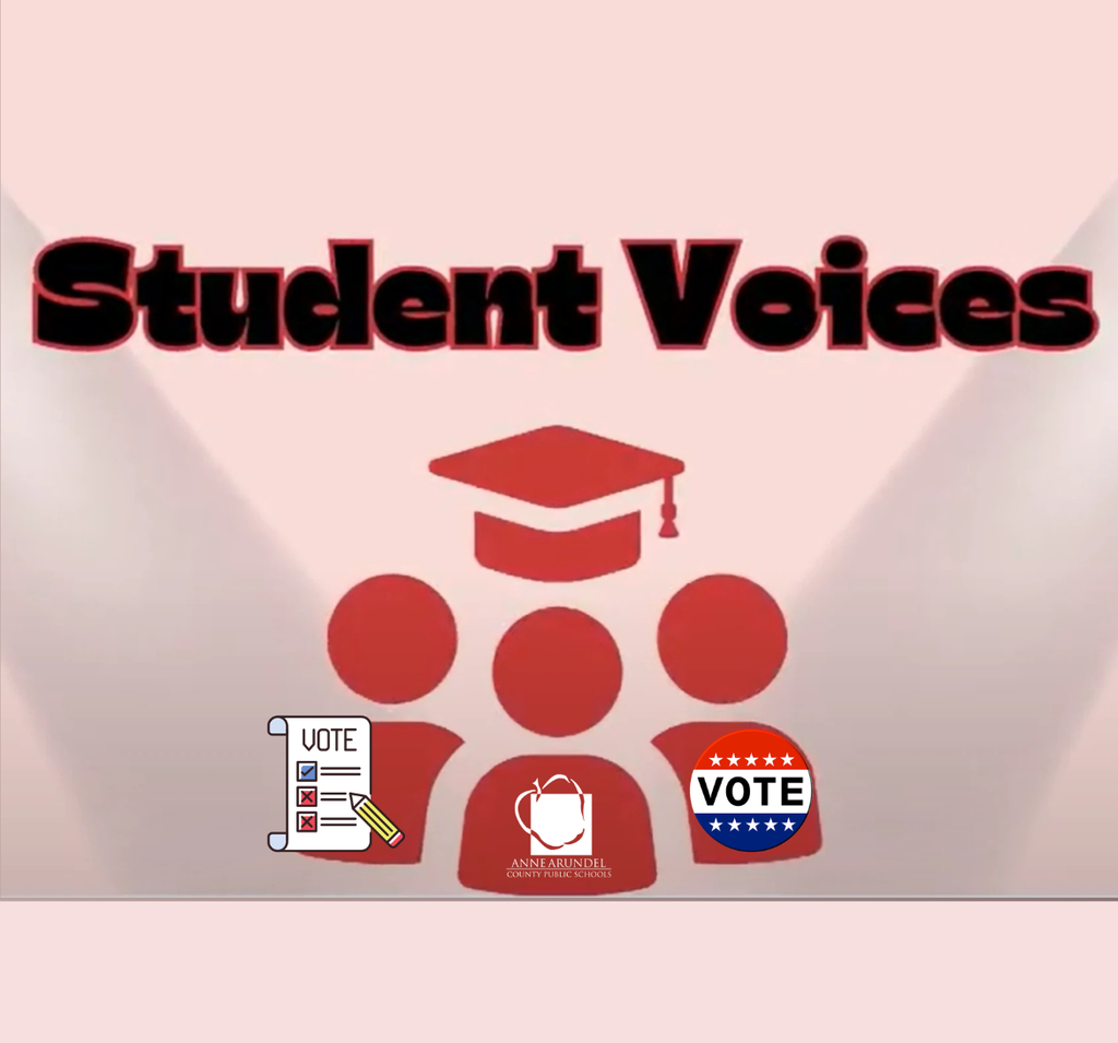 student voice election day