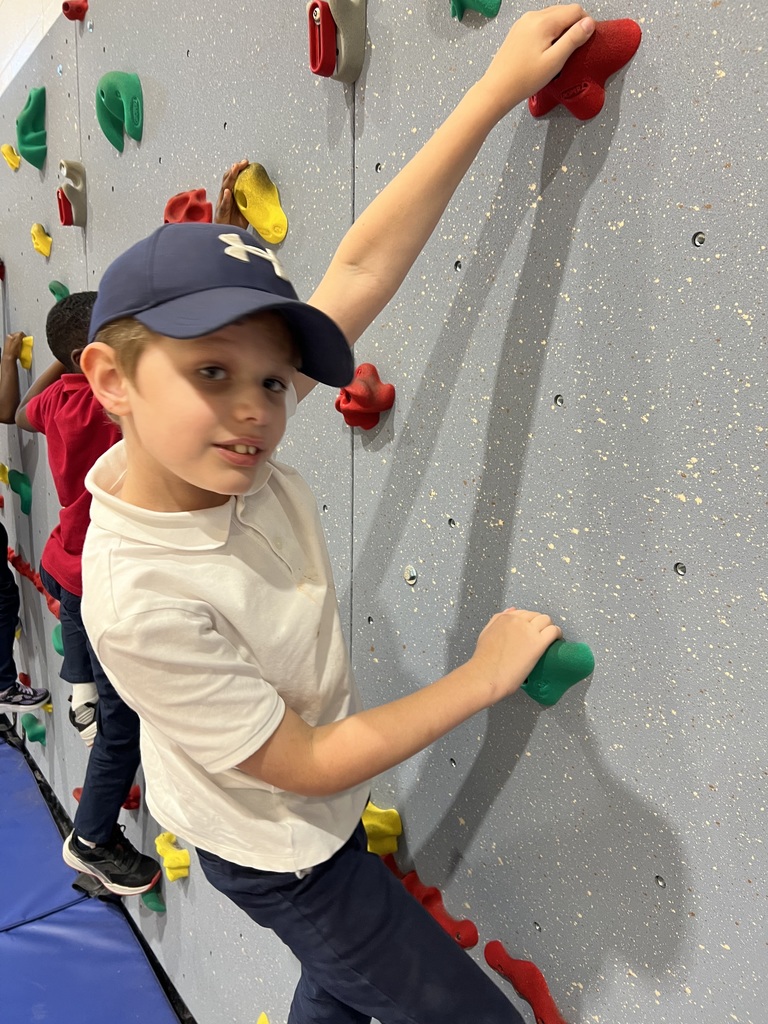 Student climbing rock wall