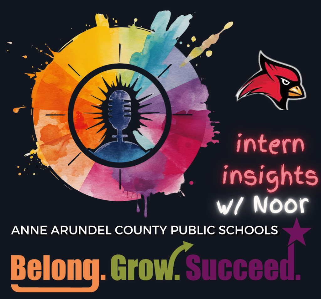 Intern Insights Noor month 2