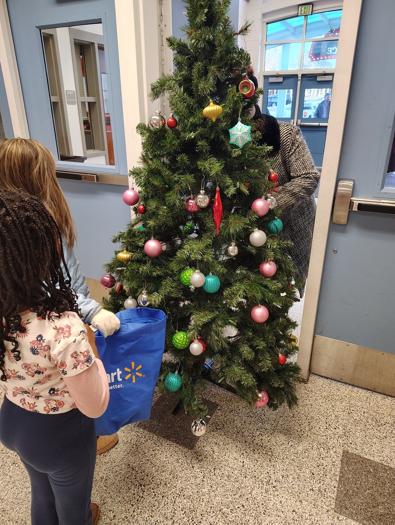 Students, Christmas tree, ornaments