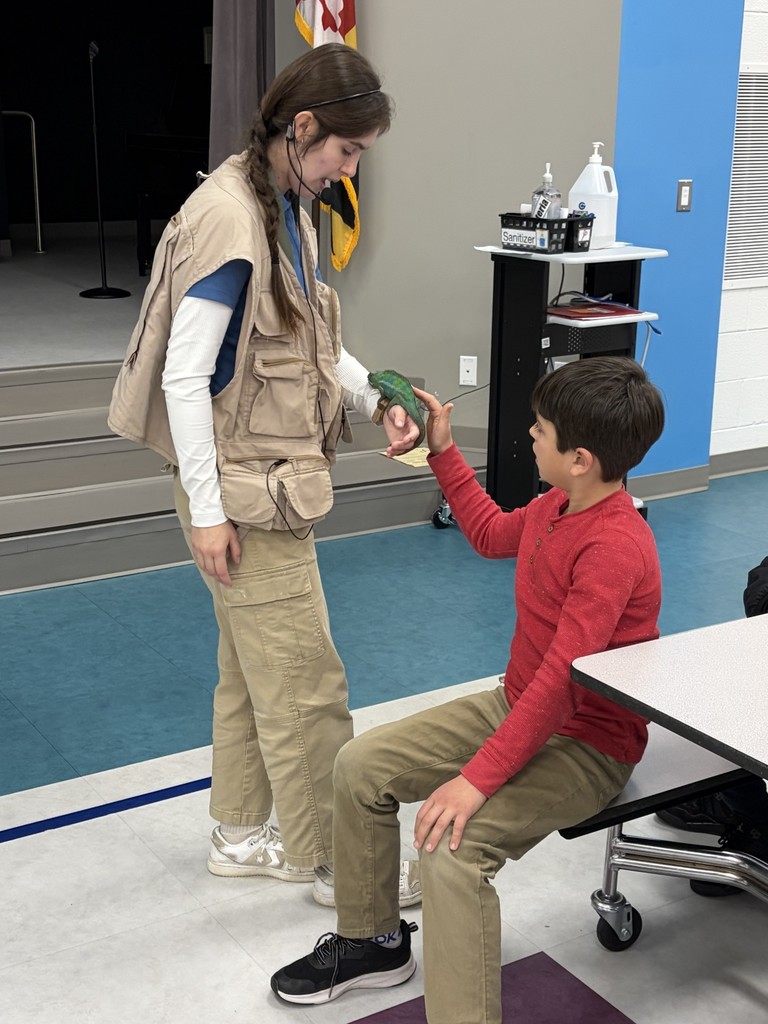Student petting cameleon with eco adventure leader