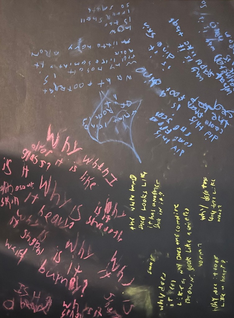 IB Questioning Responses