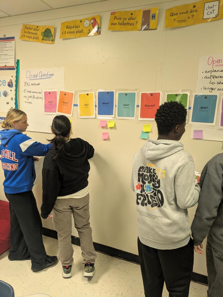 IB Questioning Responses