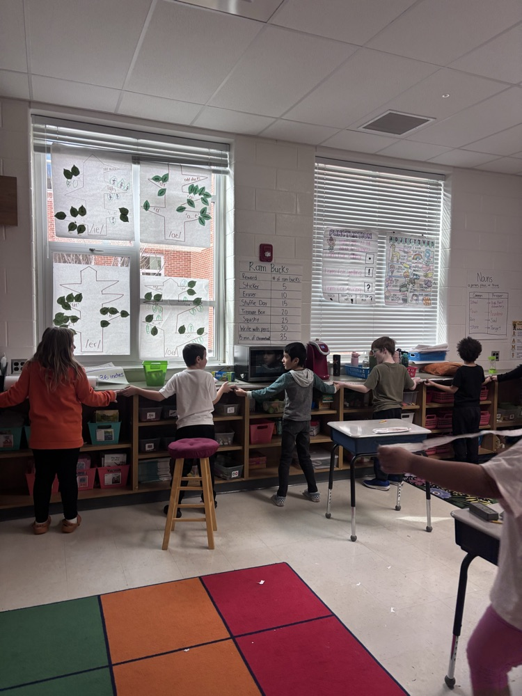 how many yards long is our shelf? 