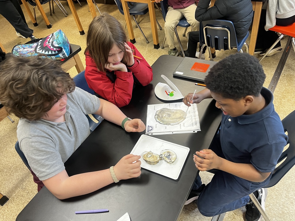 Annapolis Maritime Museum at AMS