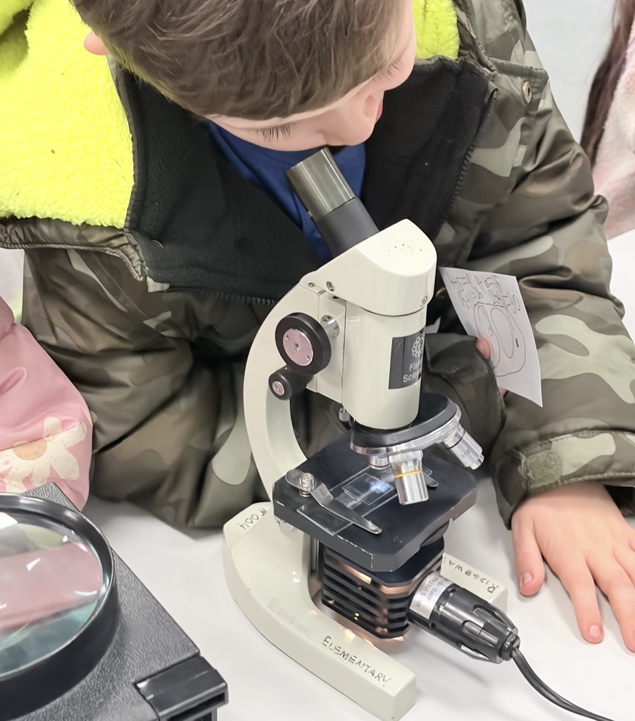 Ridgeway ES Stem Night