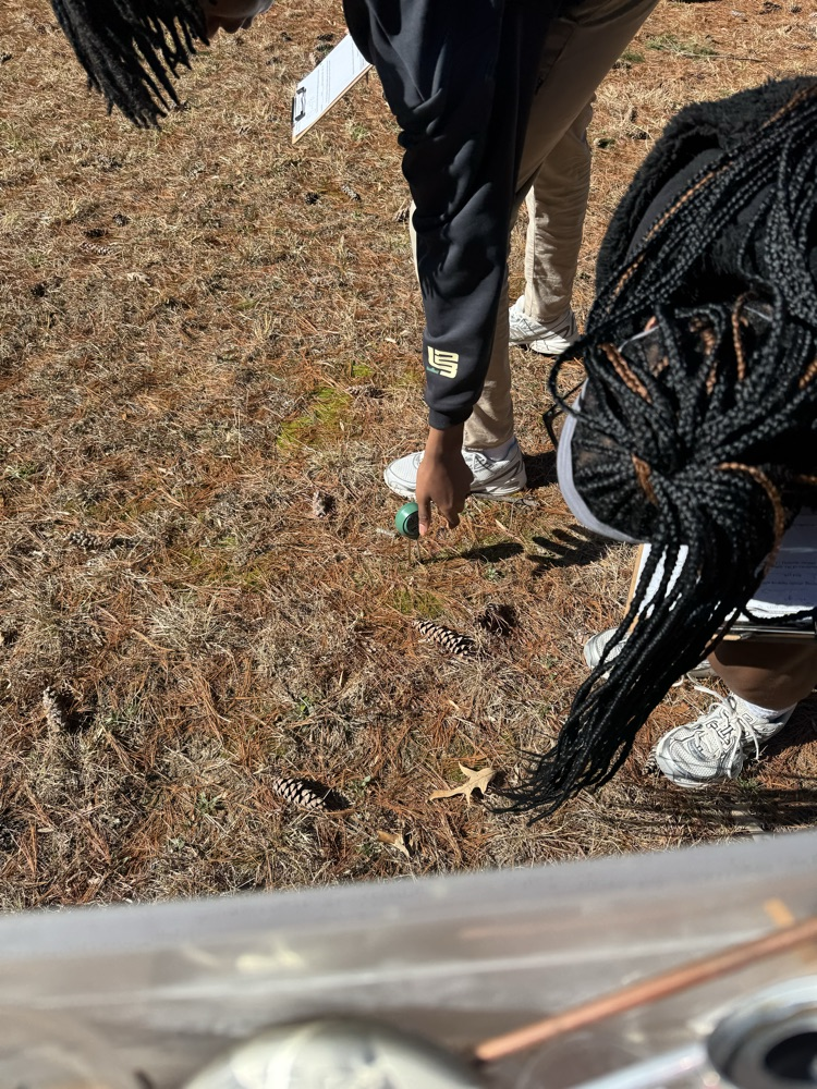 students looking at a pinecone 