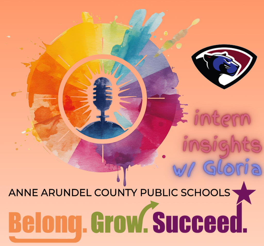 Gloria Intern Insight Annapolis Highschool, picture of microphone inside colorful circle