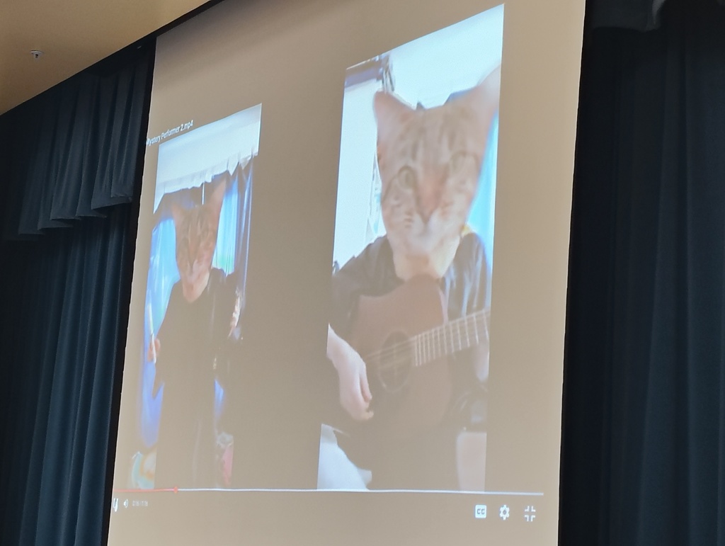 man with a cat mask and guitar