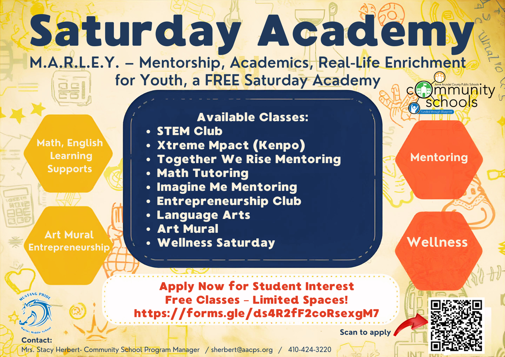 Saturday Academy