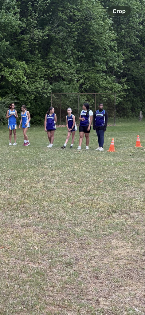 AMS Cross Country Teams