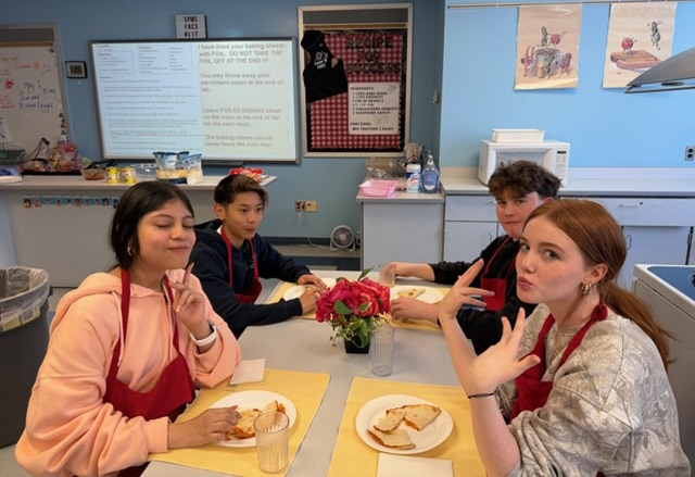 FACS7 Pizzadillas