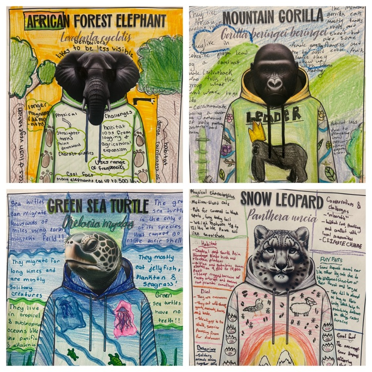 Endangered Species Hoodies