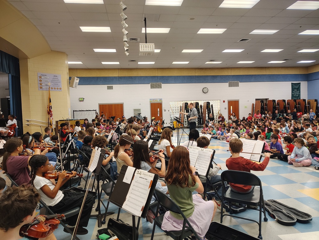 string musicians