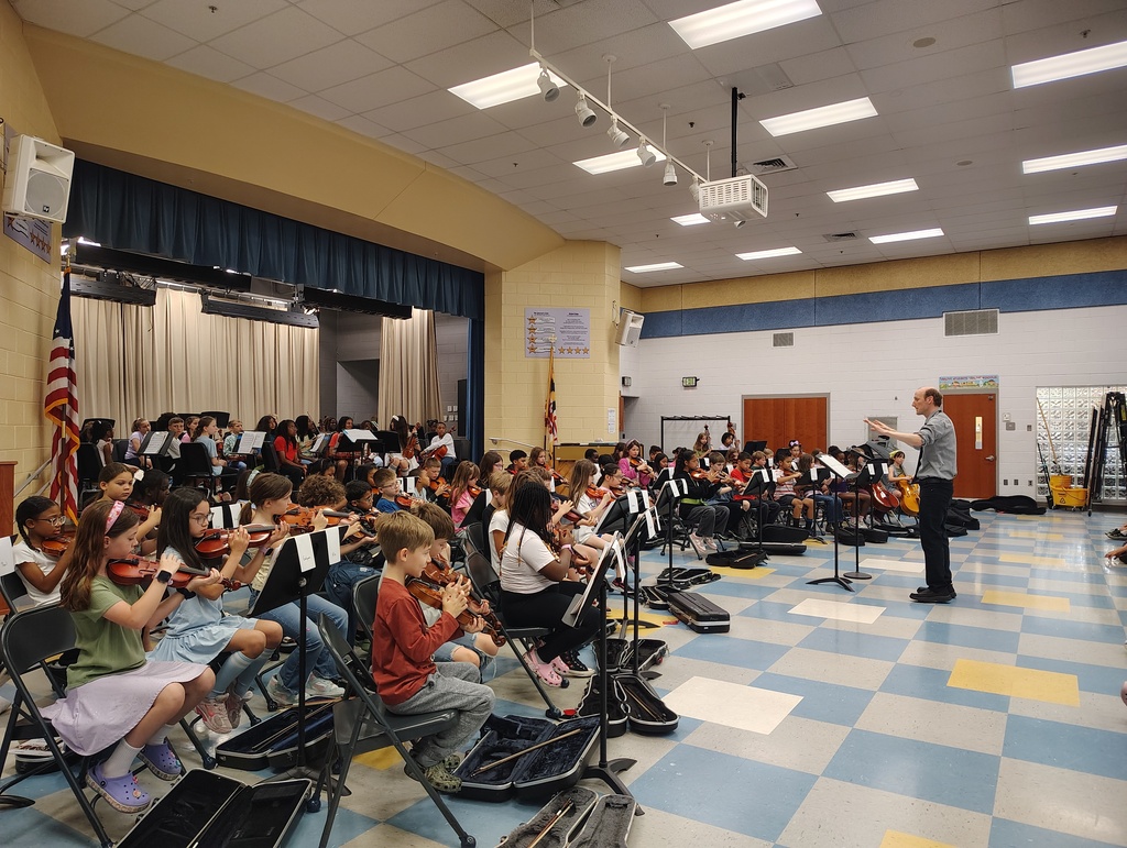 string musicians