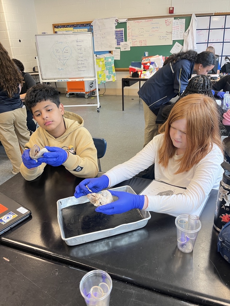 AMS STEM DAY w Naval Avademy