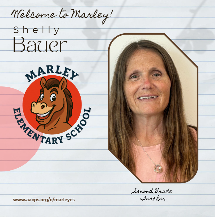 Bauer