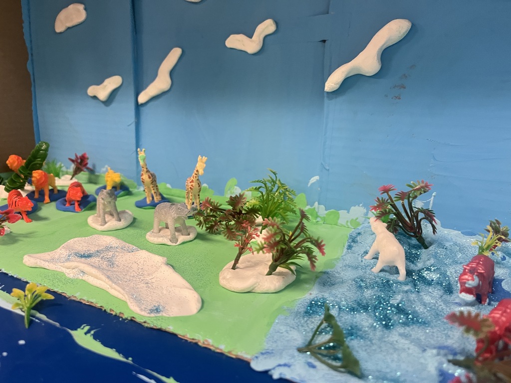 AMS Zoo Camp