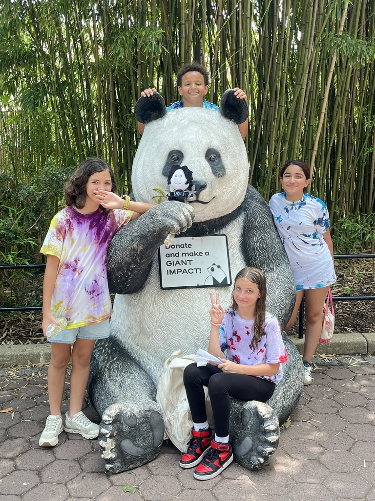 AMS Zoo Camp