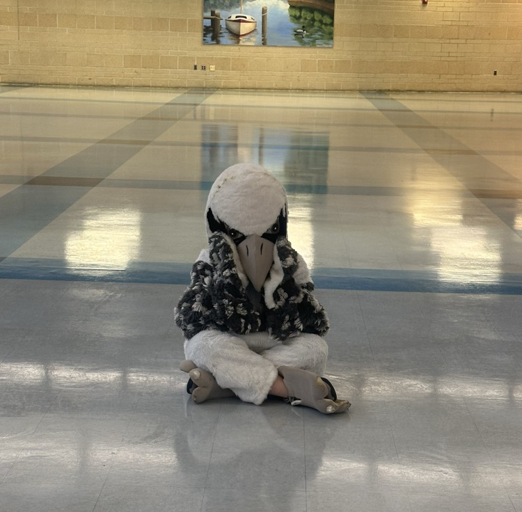Lonley Opsrey