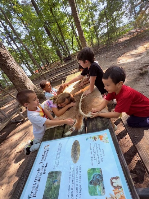 kindergarten field trip