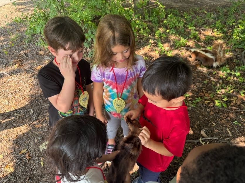 kindergarten field trip