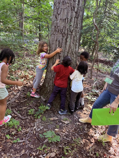 kindergarten field trip