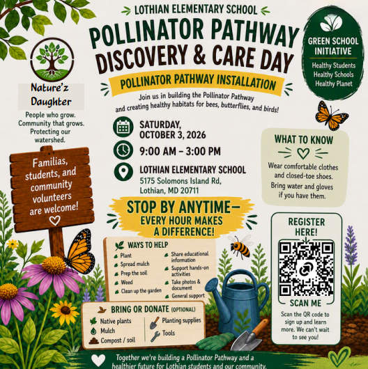 pollinators