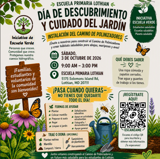 pollinators